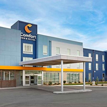 Comfort Inn & Suites Us-60 Mountain Grove Exterior foto