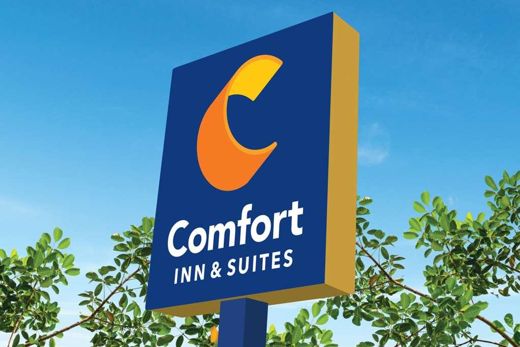 Comfort Inn & Suites Us-60 Mountain Grove Exterior foto